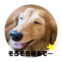 sumire_20250322212135