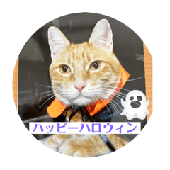 Chika_20250322212020