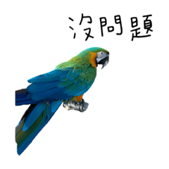 可愛達