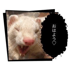 Hinata_20250322171239