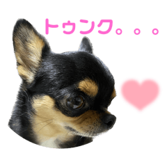 Goma saying