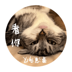 厭世喵DiuDiu