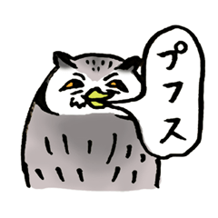 Funny and Odd Owl