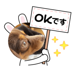 kao_20250322214857