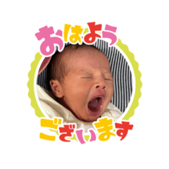 yoshi_20250322215316