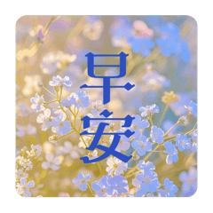 繽紛 amber
