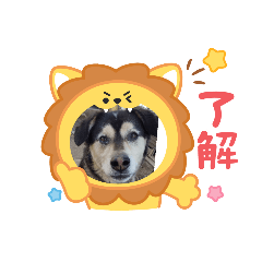 TETSU_20250322190111