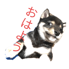 kotetsu_20250323005223