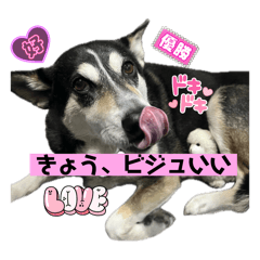 Sayuri_20250323010642