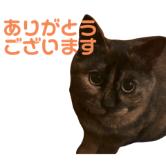 riku_20250323010459