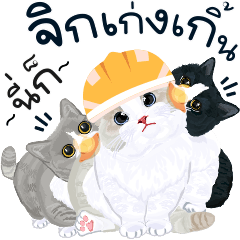 3แมวขาสั้นเพื่อนรัก:จิกกัดเพราะร๊ากแหละ