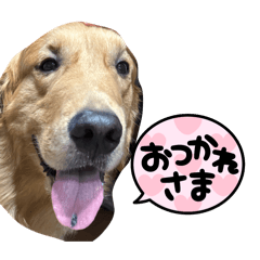 Kazuki_20250322230643