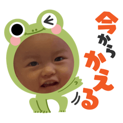 sho_20250323081348