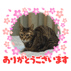 hiroko_20250322151234