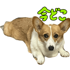 Kurobe_20250322152225