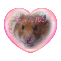 mokumoku_20250322205307