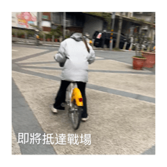 席席席席