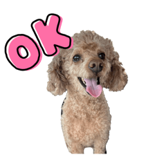 uyu.moka