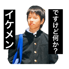 merry_20250323015228