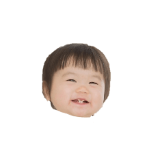 papa_20250322164909