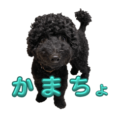 nagi_20250322165544