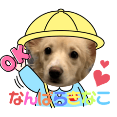 yyy_20250322214510