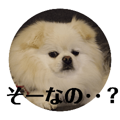 maki_20250322165936