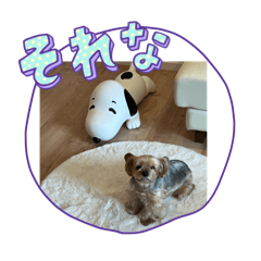 aki_20250322181344