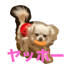 non_20250319151404