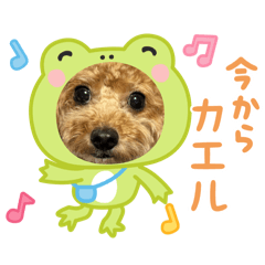 non_20250323001206