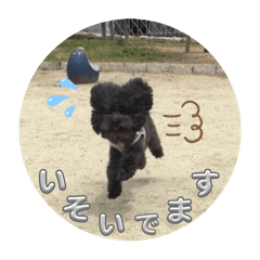 sa_20250323120433