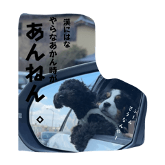 MISATO_20250323120044