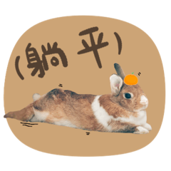 牛奶糖1.0