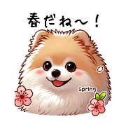 A warm spring day for Pomeranians