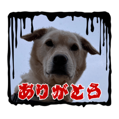 omochi_20250322192621