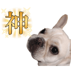 komugi_20250322213020
