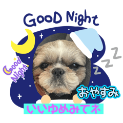 Coco_20250322210805