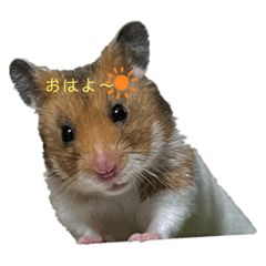 mi_20250322212921