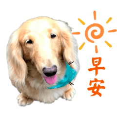 癱瘓腸腸生活日記