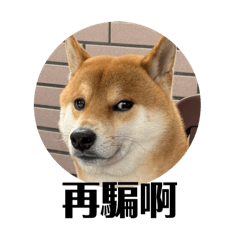 搞威的宅