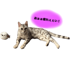 h_20250323042341