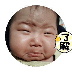 SHOGO_20250323113133
