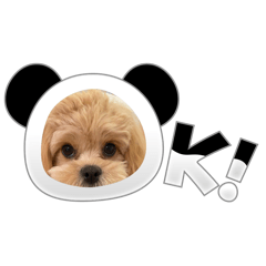 KK_kina