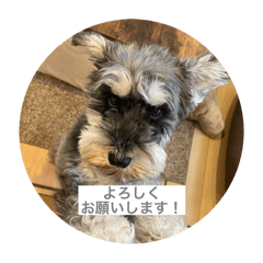 chacha_20250323133242