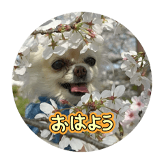 aoi_20250323134358