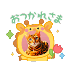 papa_20250321190021