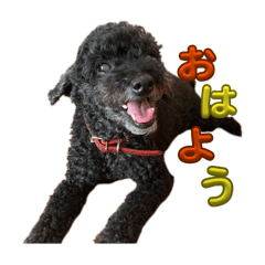 URAKENO AIKEN