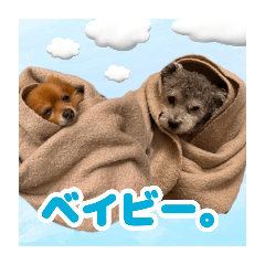 panda create shop