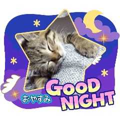 ami_20250323164034