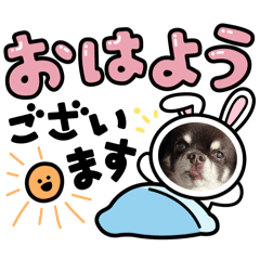 miki_20250323185500